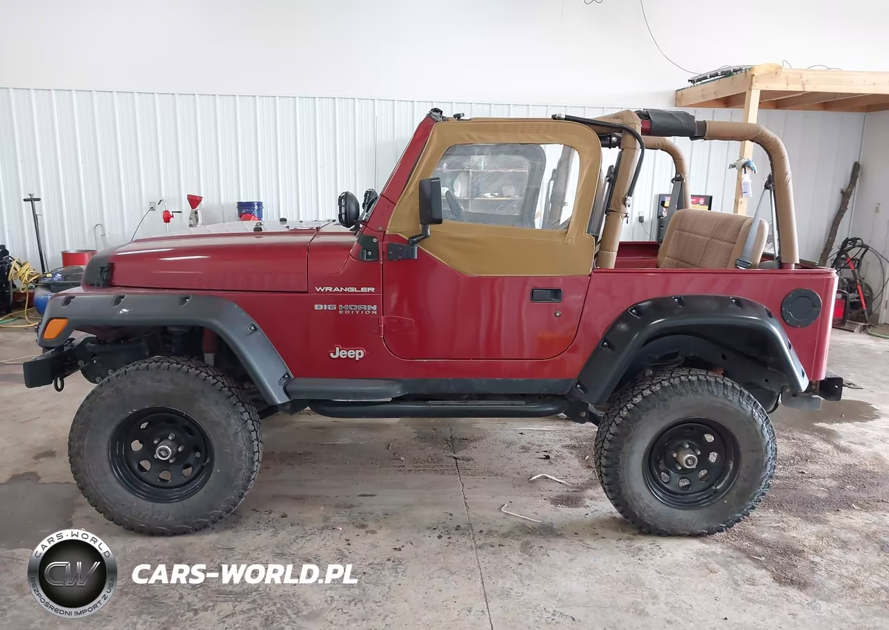 1998 Jeep Wrangler Se VIN:1J4FY29P4WP732558 - 14