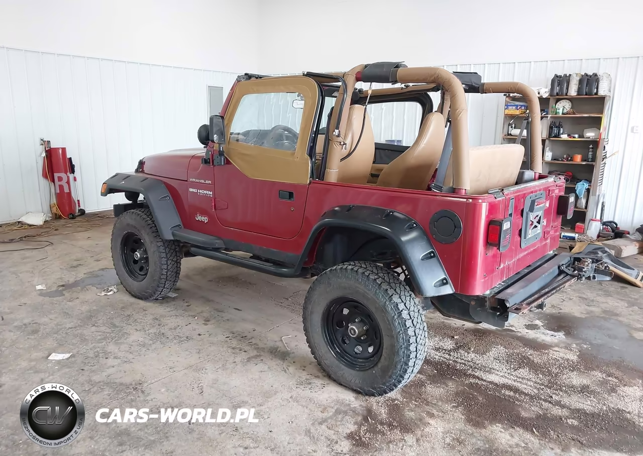 1998 Jeep Wrangler Se VIN:1J4FY29P4WP732558 - 3