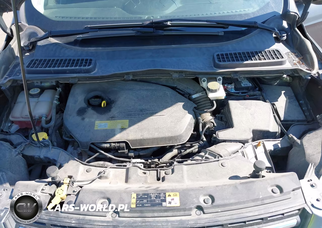 2014 Ford Escape Se VIN:1FMCU9GX0EUC69961 - 10