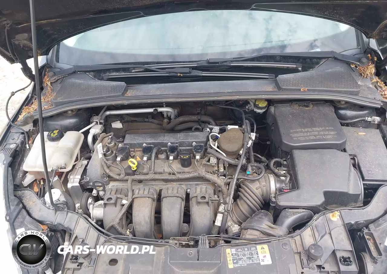 2015 Ford Focus Se VIN:1FADP3K27FL259272 - 10