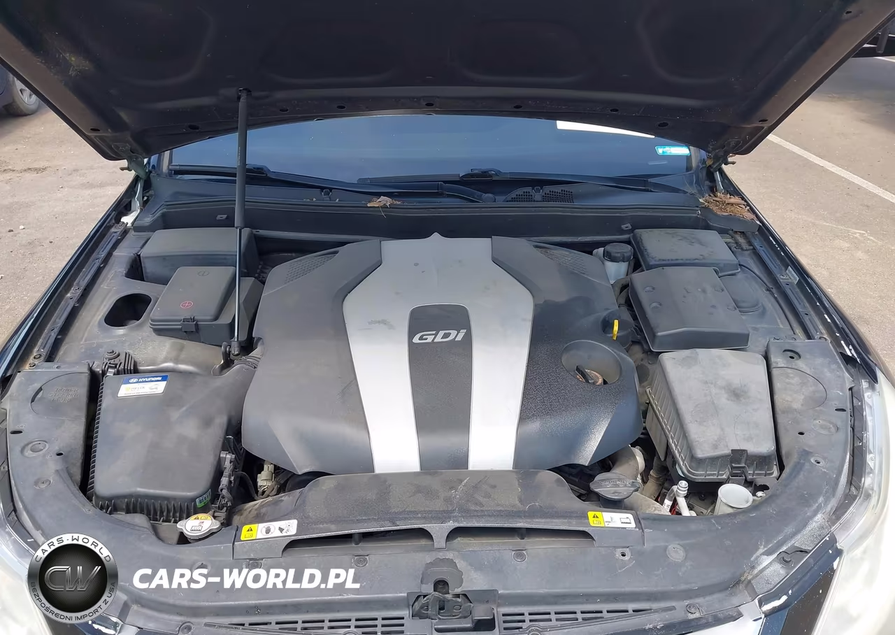 2014 Hyundai Genesis 3.8 VIN:KMHGC4DD6EU263308 - 10