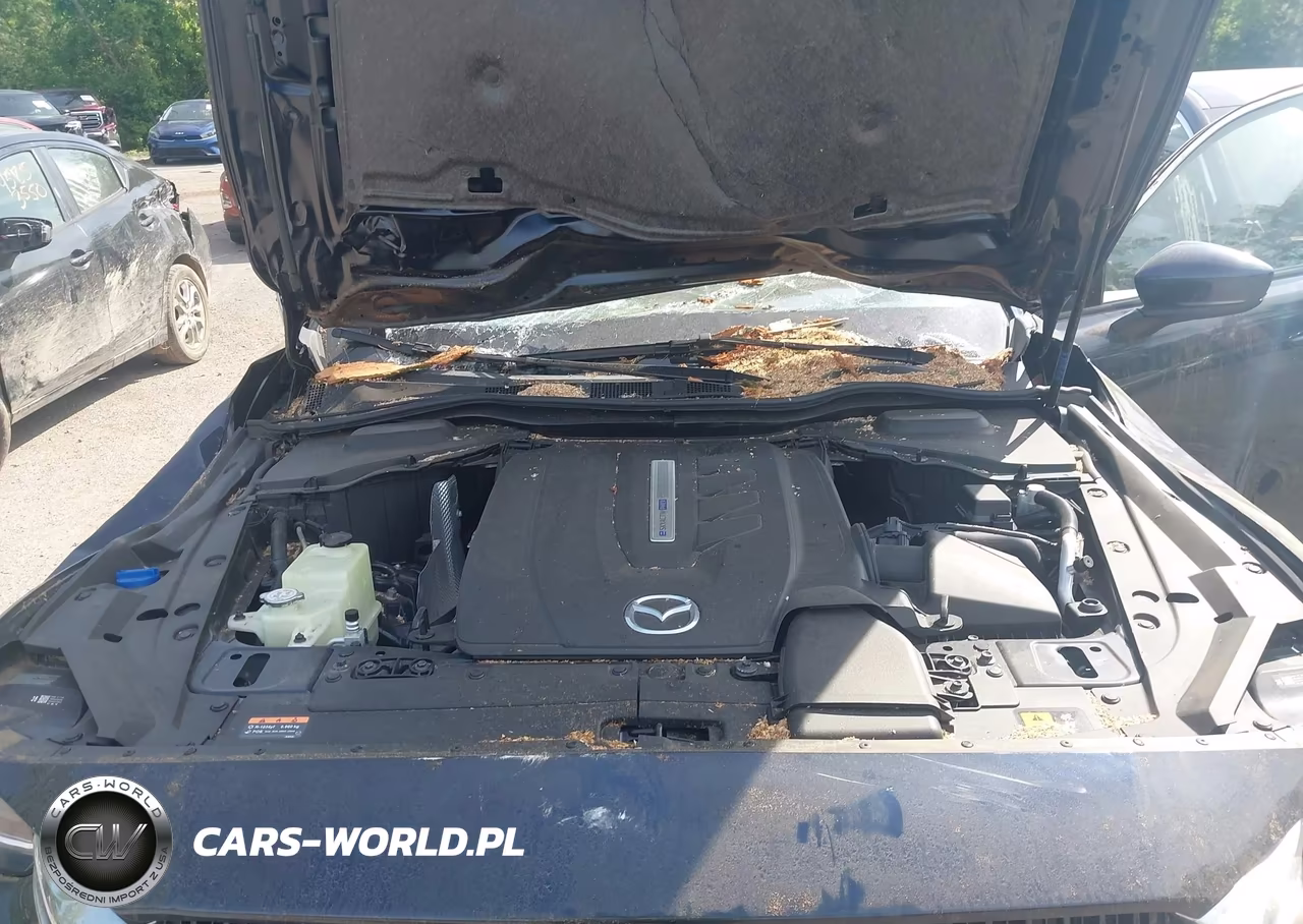 2024 Mazda Cx-90 Phev Premium VIN:JM3KKDHA5R1112086 - 10