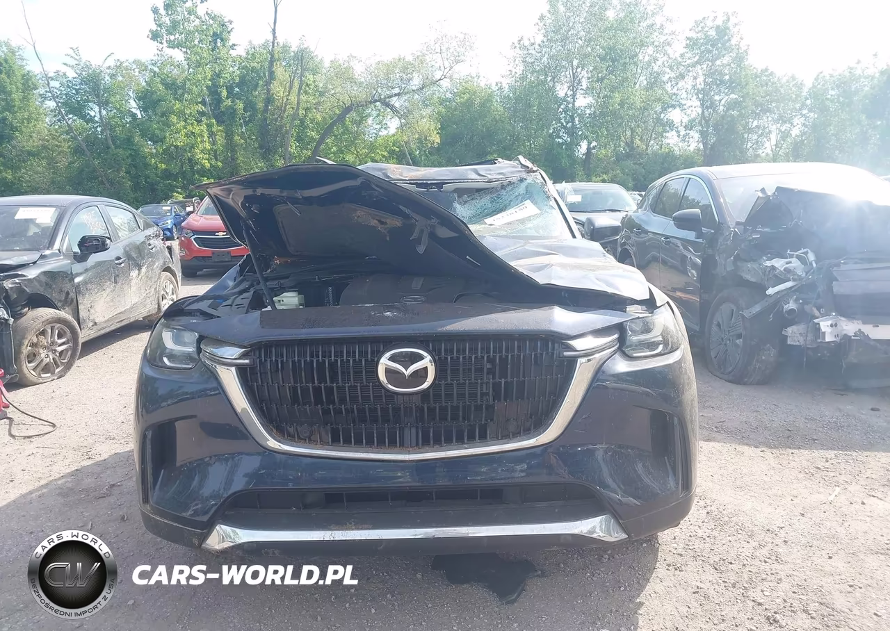2024 Mazda Cx-90 Phev Premium VIN:JM3KKDHA5R1112086 - 12