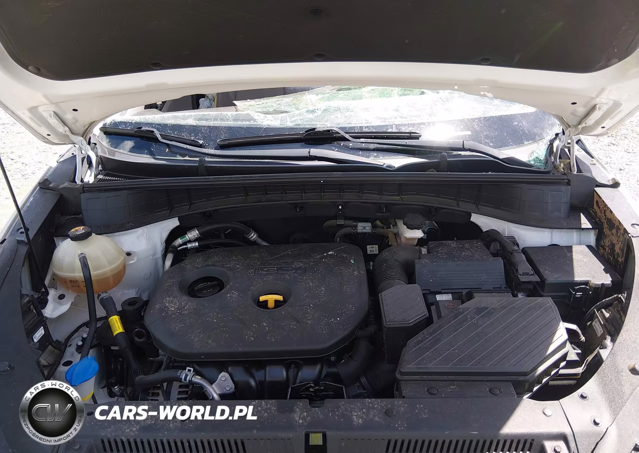 2019 Hyundai Tucson Value VIN:KM8J33A49KU042933 - 10