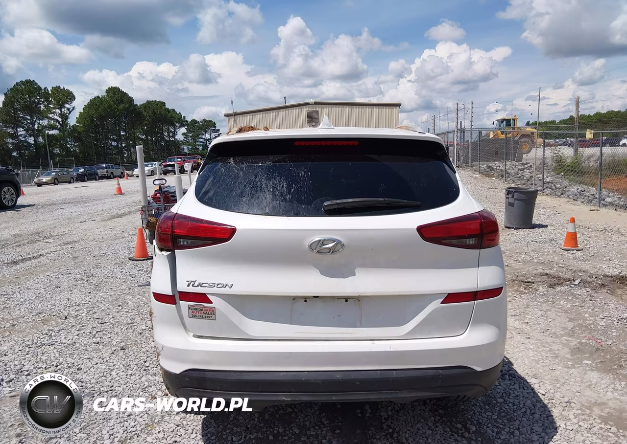 2019 Hyundai Tucson Value VIN:KM8J33A49KU042933 - 16