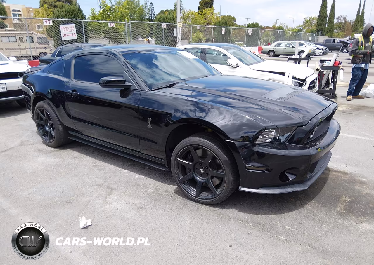 2013 Ford Shelby Gt500
