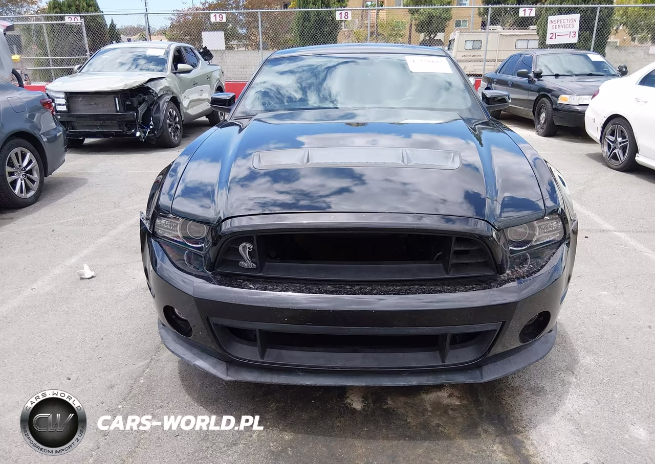 2013 Ford Shelby Gt500 VIN:1ZVBP8JZ9D5267370 - 12