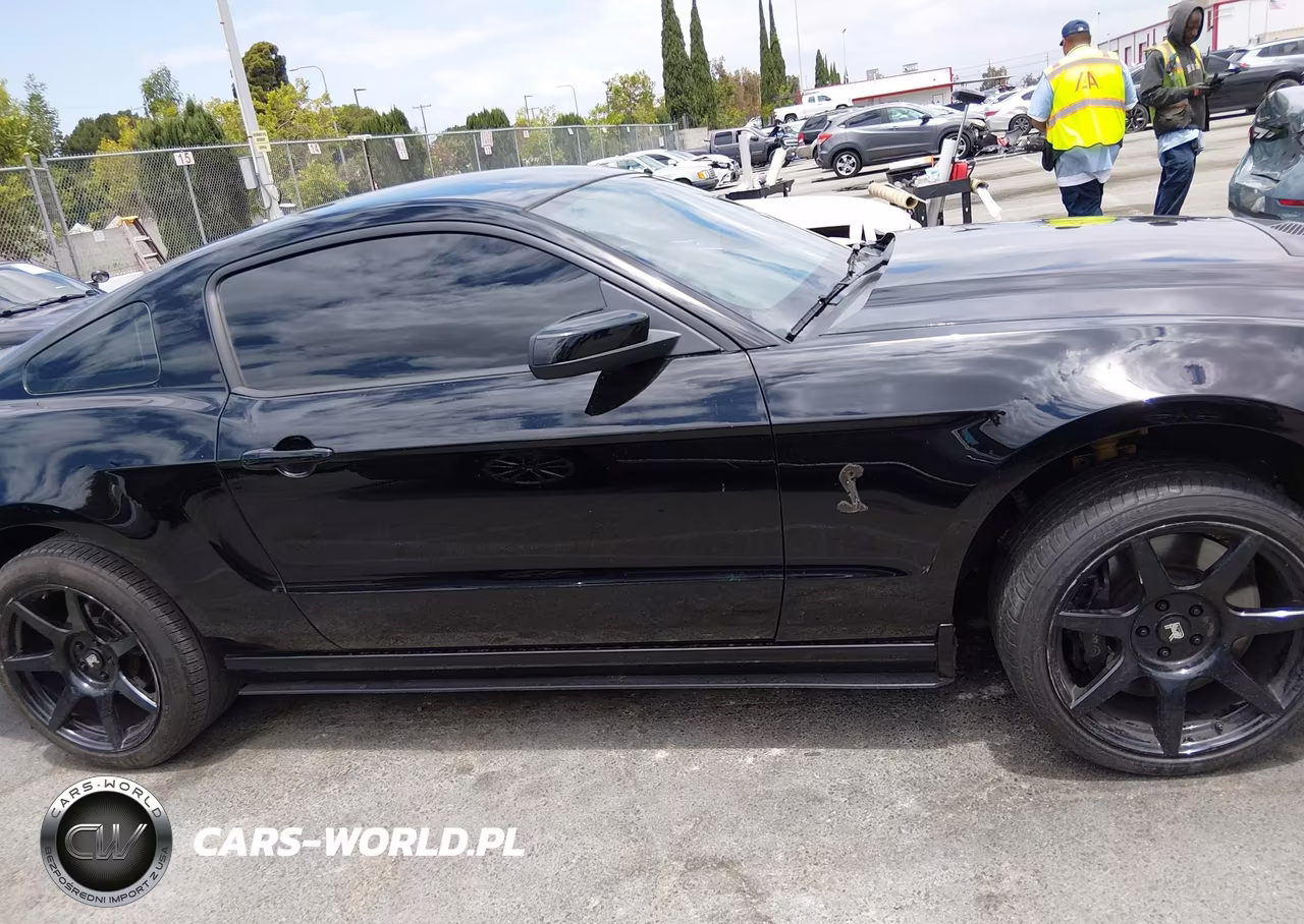 2013 Ford Shelby Gt500 VIN:1ZVBP8JZ9D5267370 - 13