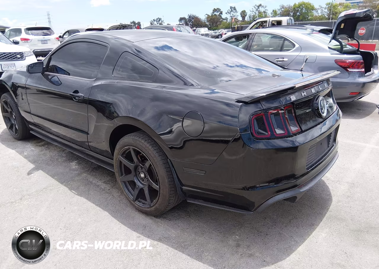 2013 Ford Shelby Gt500 VIN:1ZVBP8JZ9D5267370 - 3