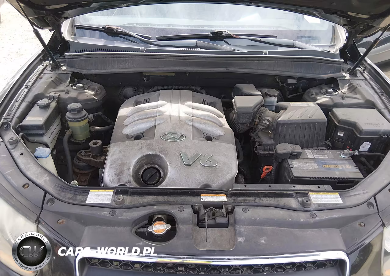 2007 Hyundai Santa Fe Limited-Se VIN:5NMSH13E87H089647 - 10