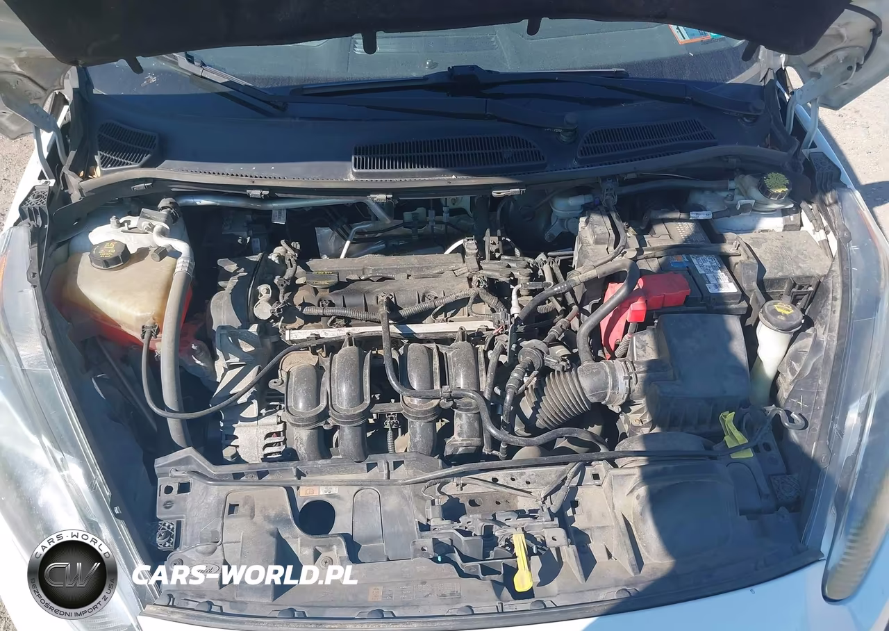 2014 Ford Fiesta Se VIN:3FADP4EJ8EM244205 - 10
