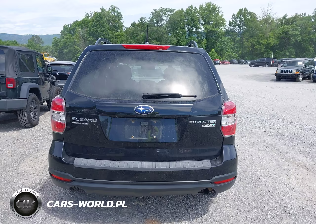 2015 Subaru Forester 2.5I Premium VIN:JF2SJADC5FH818352 - 17