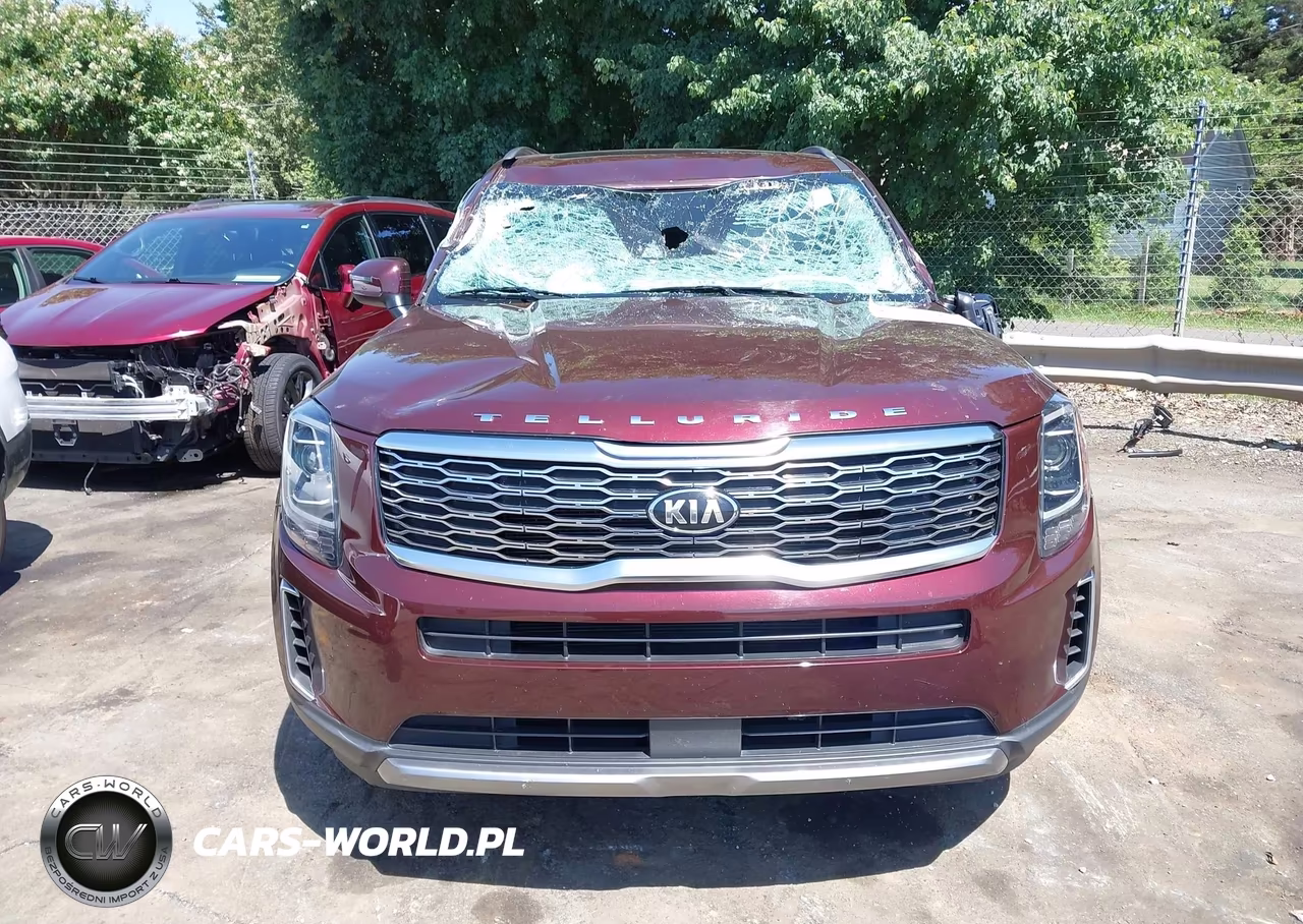 2021 Kia Telluride Ex VIN:5XYP34HC3MG127417 - 12