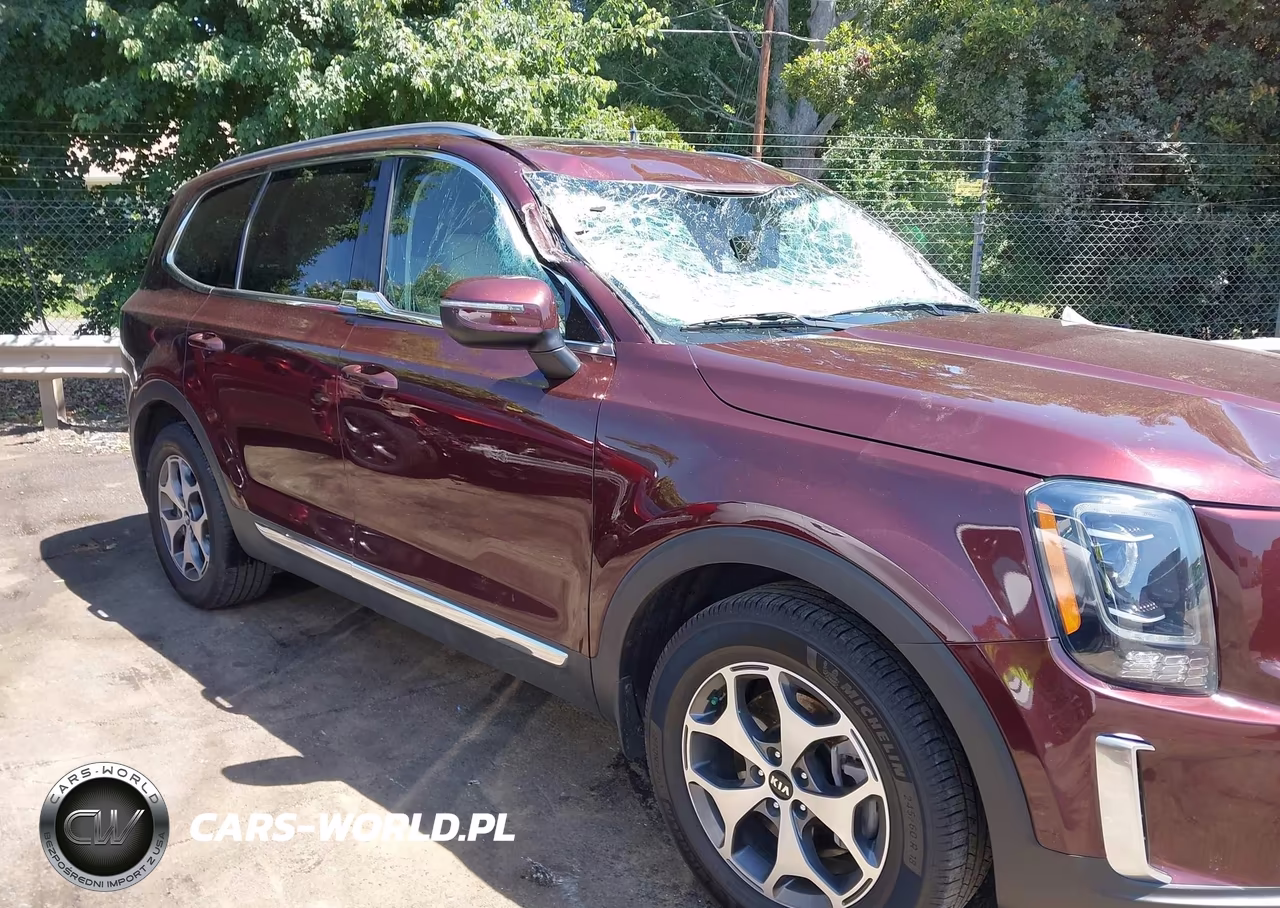 2021 Kia Telluride Ex VIN:5XYP34HC3MG127417 - 13