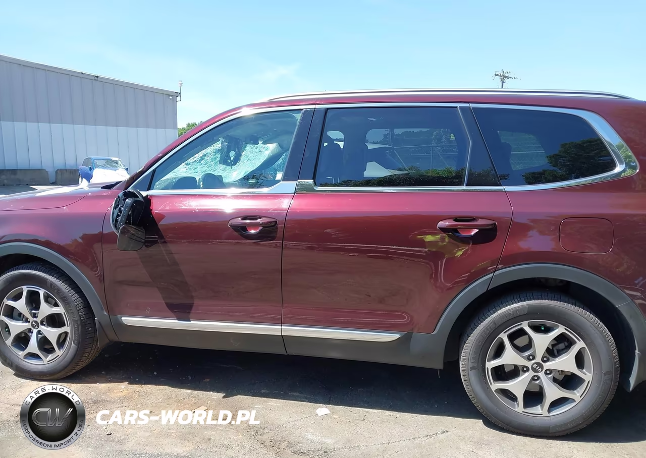 2021 Kia Telluride Ex VIN:5XYP34HC3MG127417 - 14