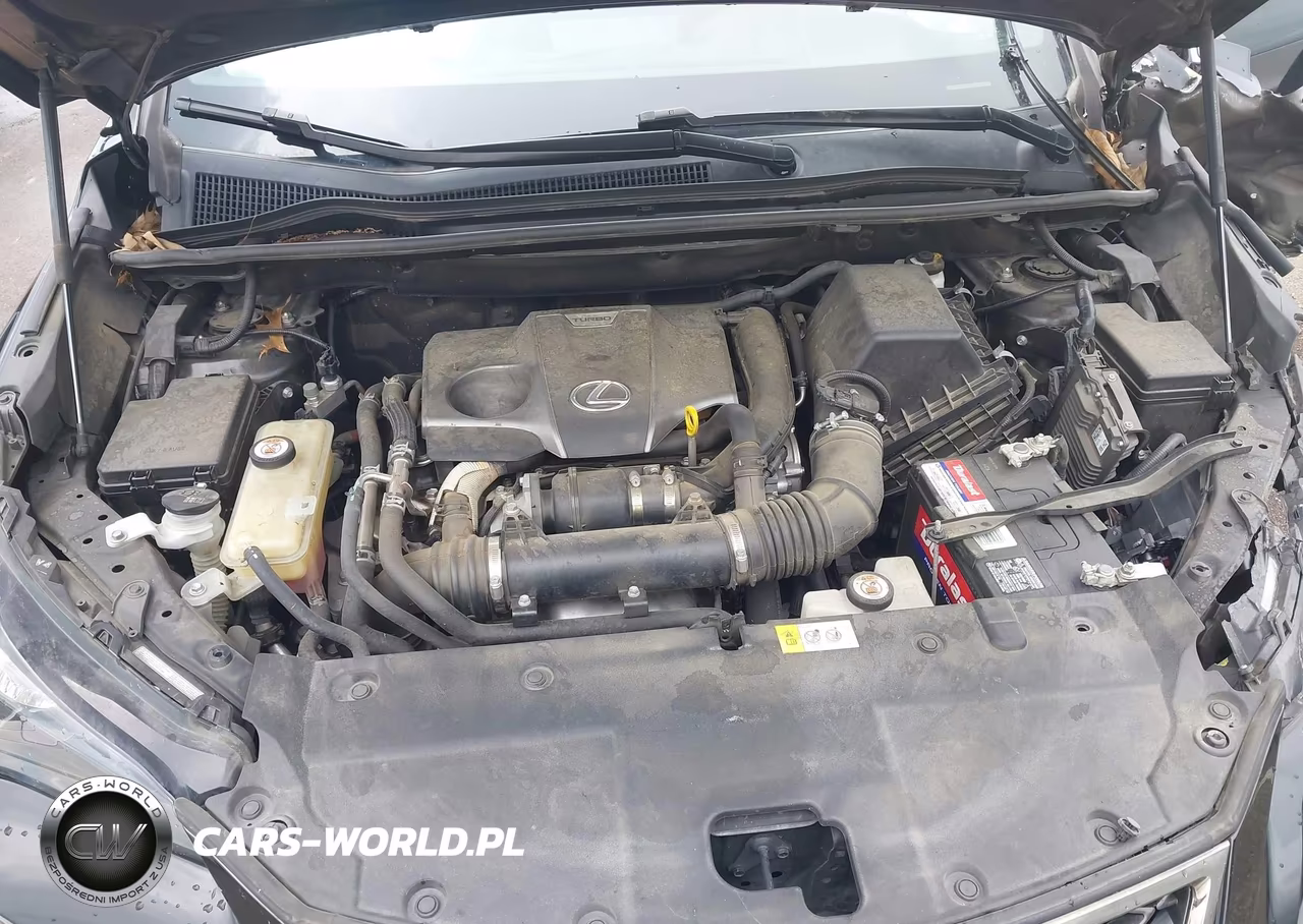 2018 Lexus Nx 300 F Sport VIN:JTJYARBZ4J2104932 - 10