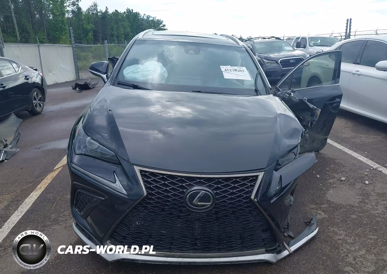 2018 Lexus Nx 300 F Sport VIN:JTJYARBZ4J2104932 - 13