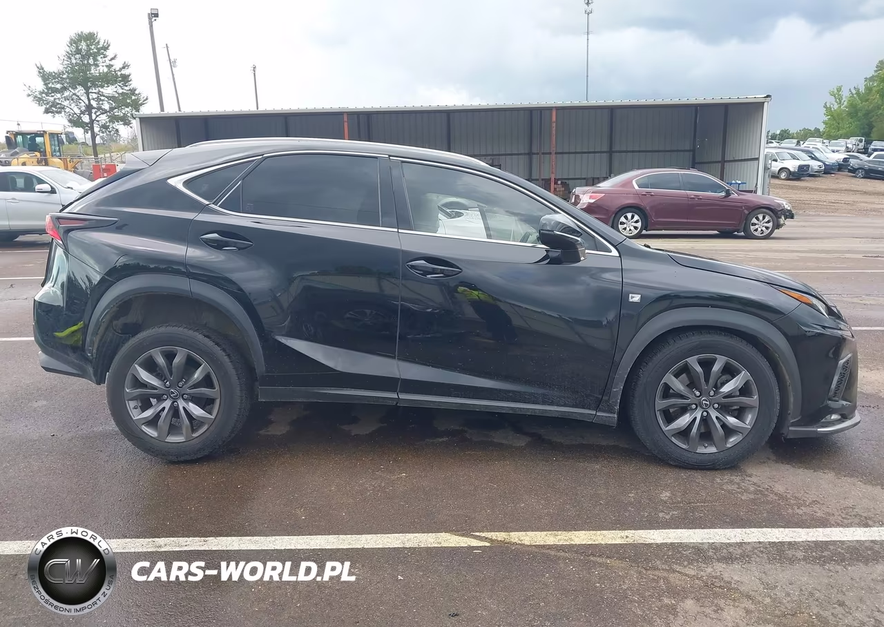 2018 Lexus Nx 300 F Sport VIN:JTJYARBZ4J2104932 - 14