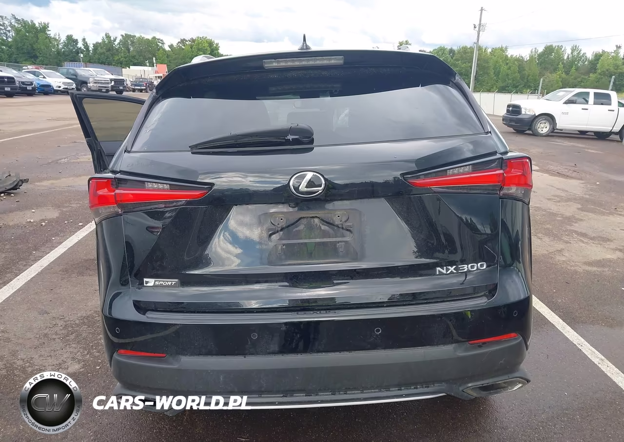 2018 Lexus Nx 300 F Sport VIN:JTJYARBZ4J2104932 - 17