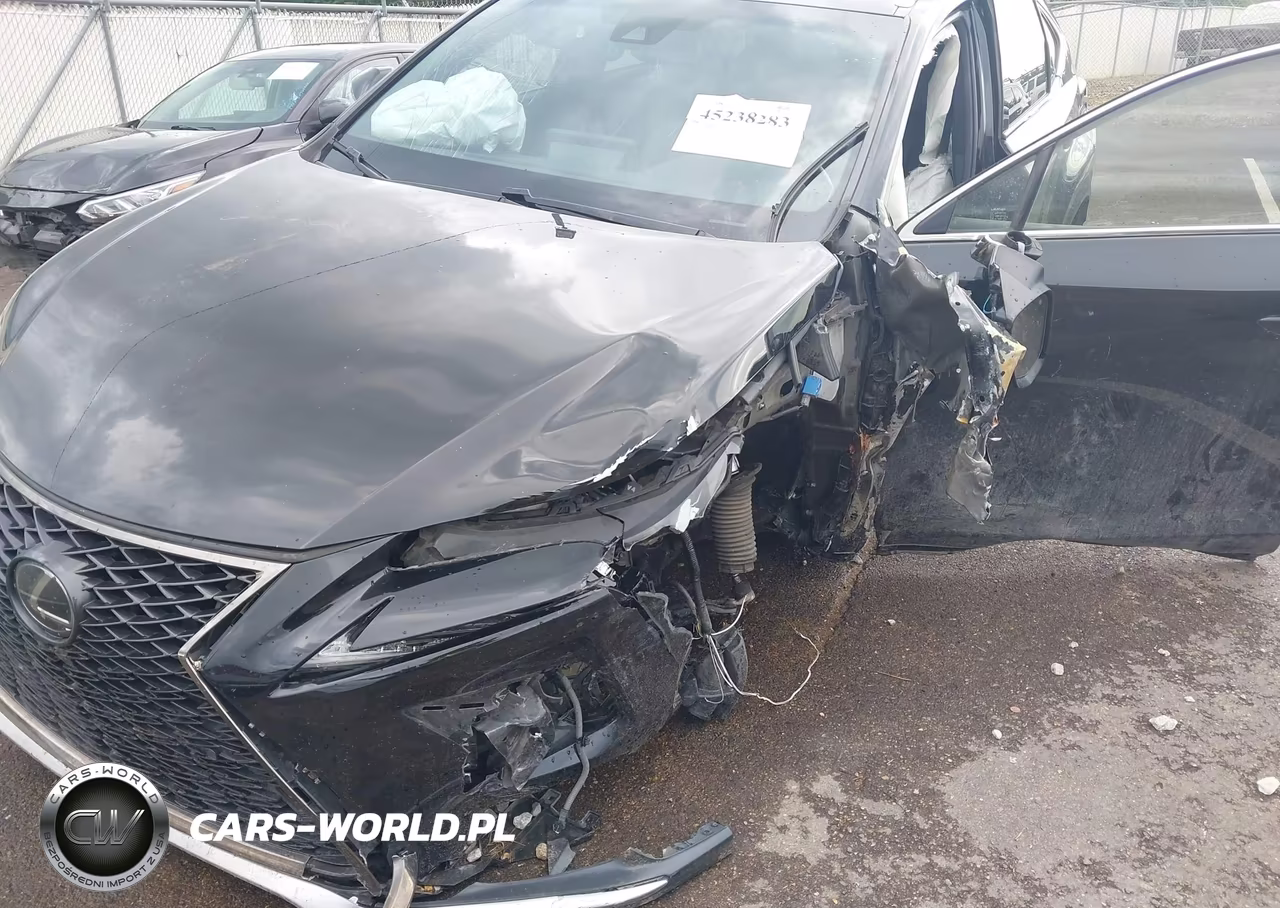 2018 Lexus Nx 300 F Sport VIN:JTJYARBZ4J2104932 - 18