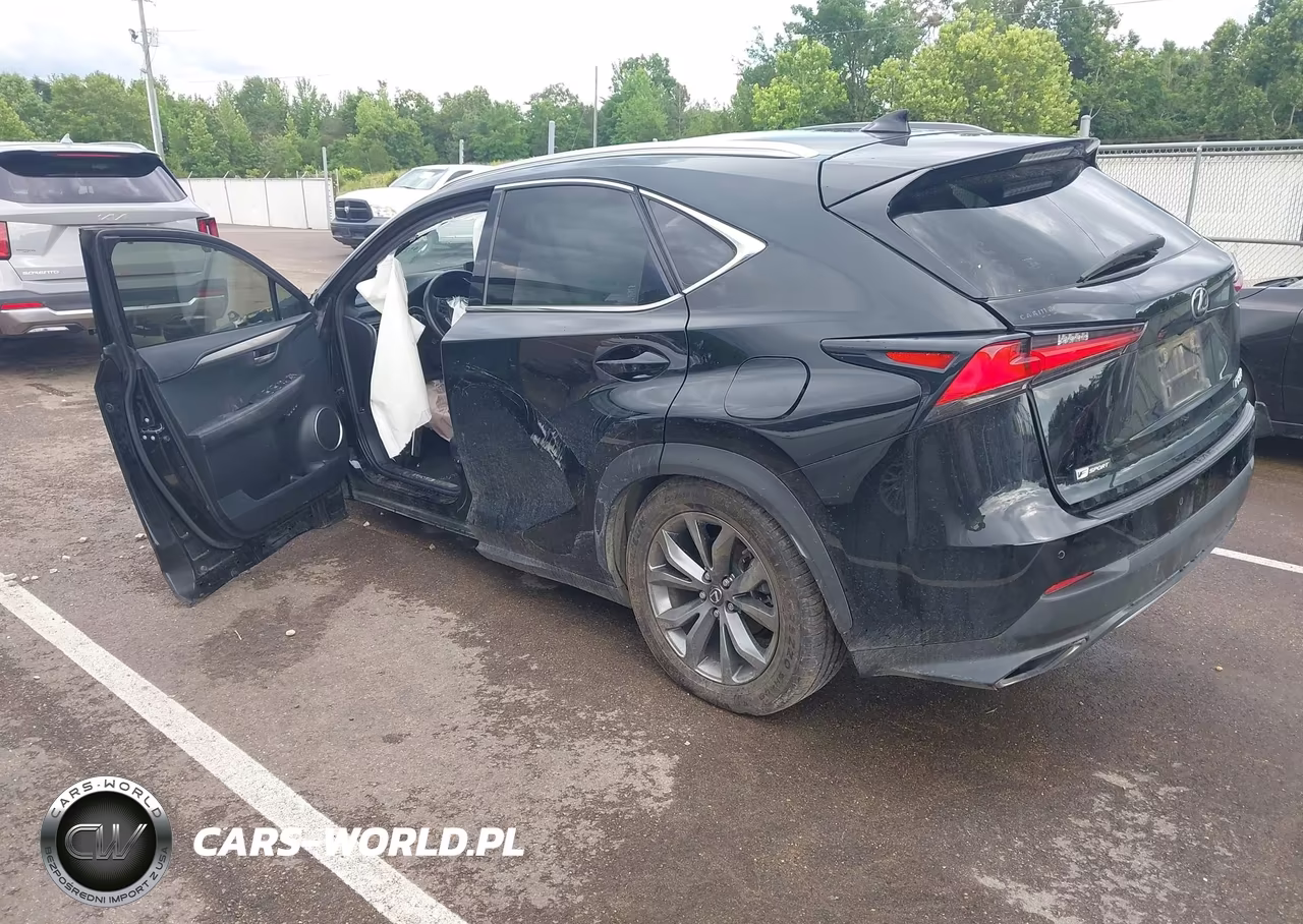 2018 Lexus Nx 300 F Sport VIN:JTJYARBZ4J2104932 - 3