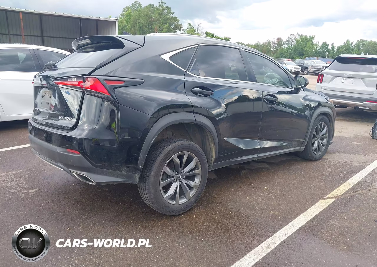 2018 Lexus Nx 300 F Sport VIN:JTJYARBZ4J2104932 - 4