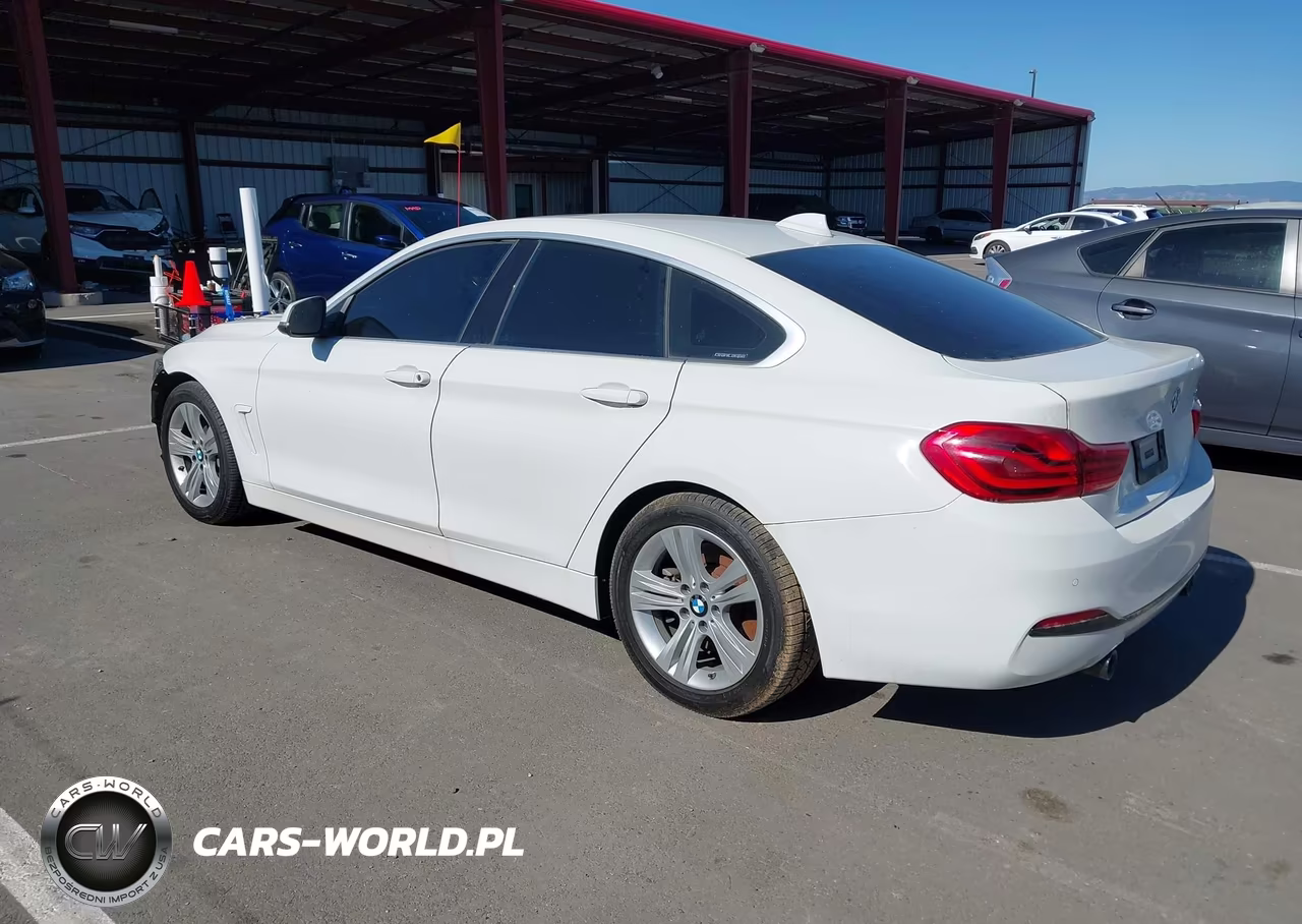 2019 BMW 440I Gran Coupe VIN:WBA4J5C51KBM66169 - 3