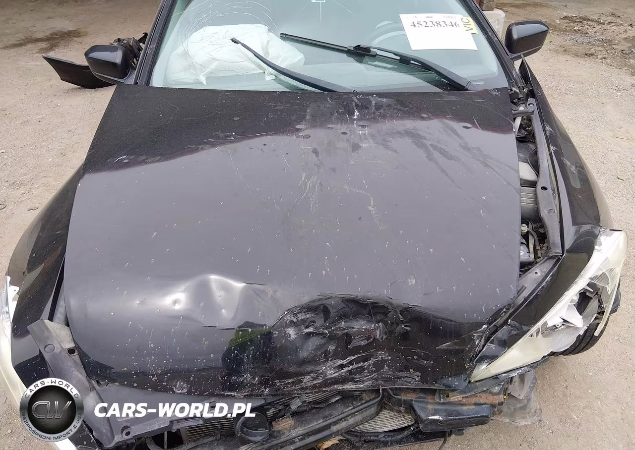 2006 Honda Accord 3.0 Ex VIN:1HGCM826X6A007821 - 10