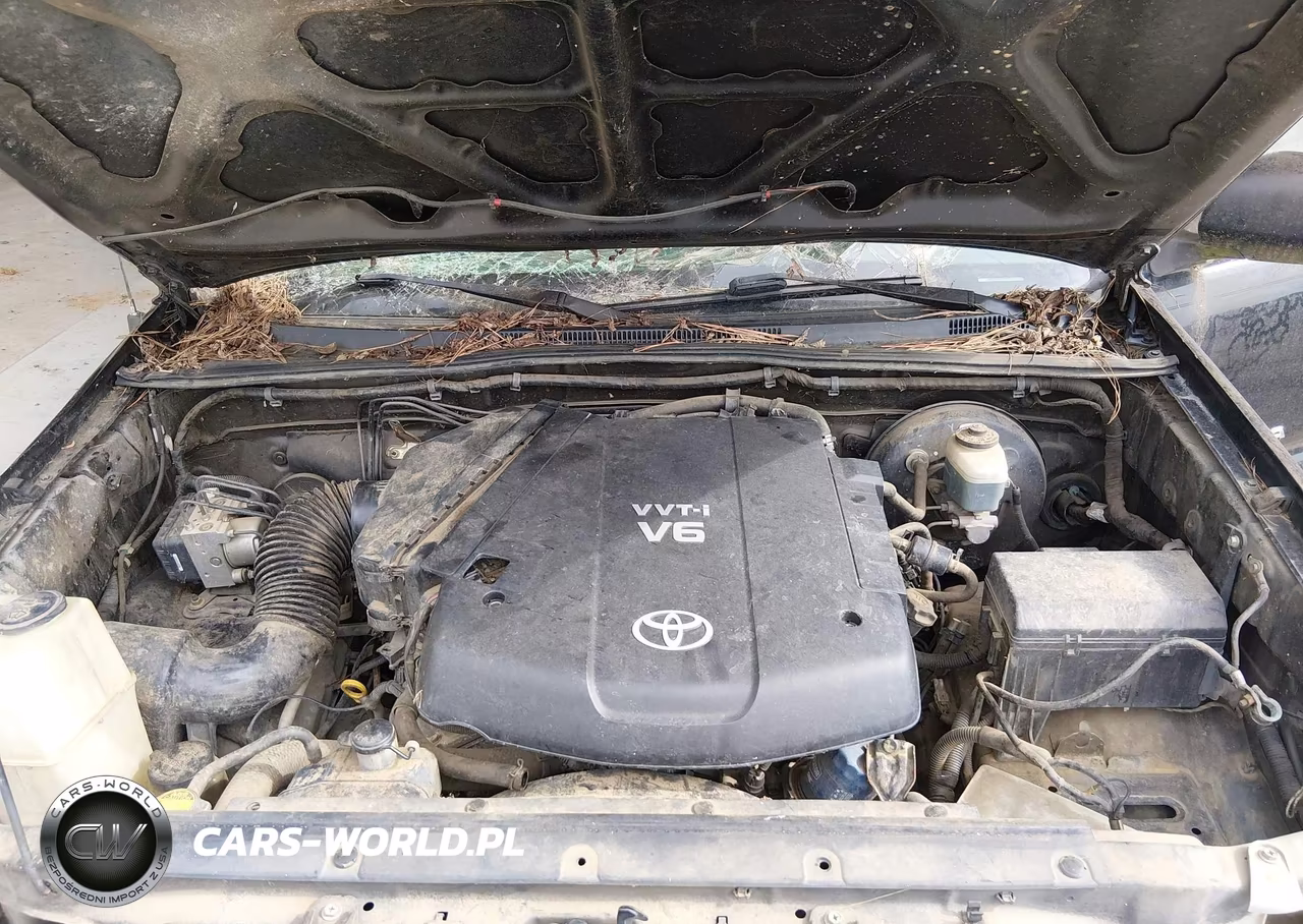 2006 Toyota Tacoma Base V6 VIN:5TELU42N26Z250138 - 10