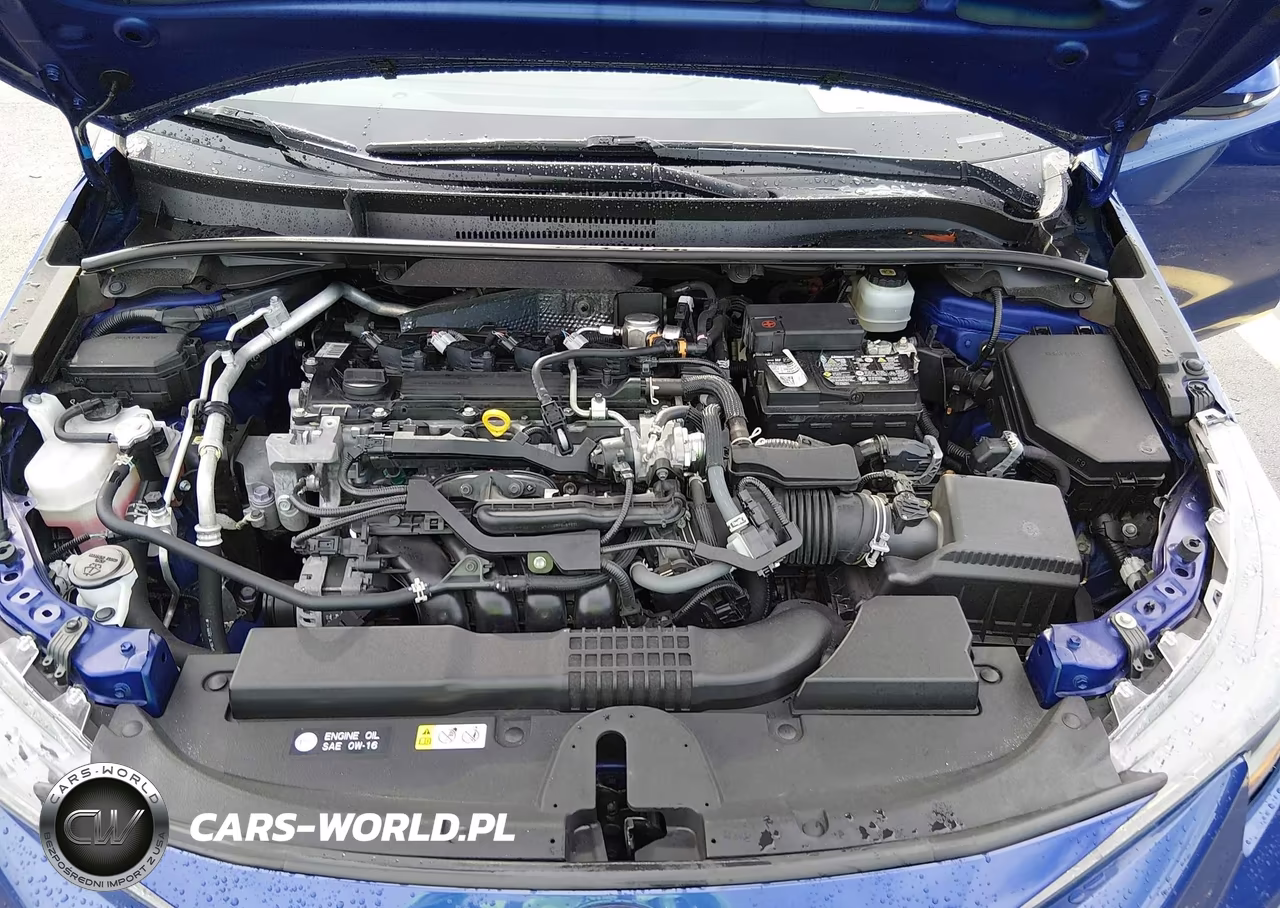 2021 Toyota Corolla Se VIN:JTDS4MCE3MJ063718 - 10