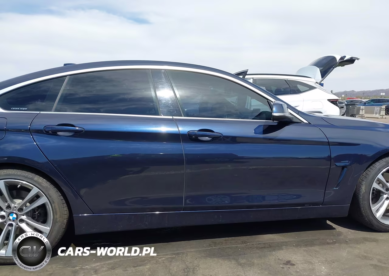 2019 BMW 430I Gran Coupe VIN:WBA4J1C53KBM18441 - 13