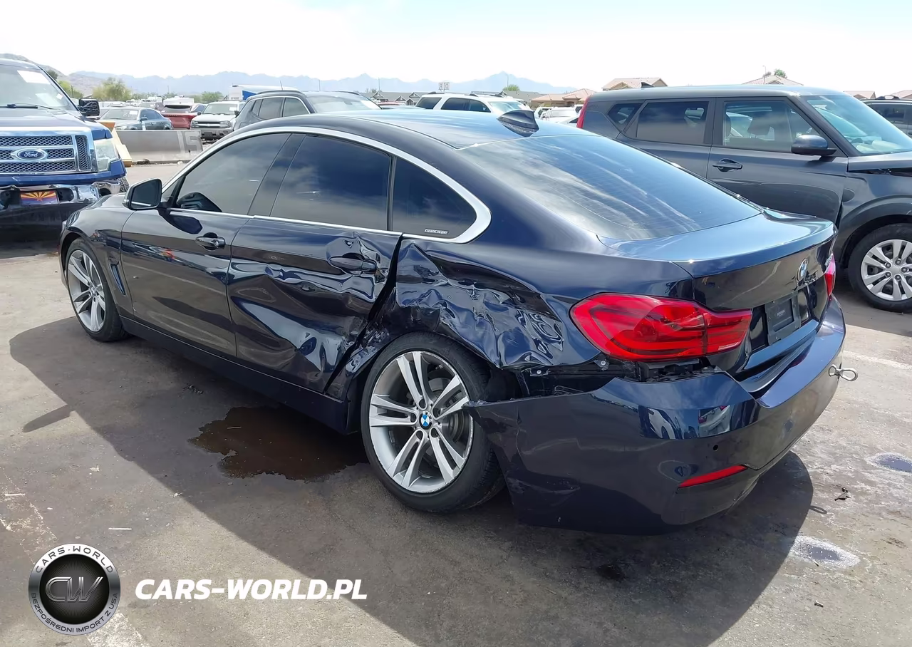 2019 BMW 430I Gran Coupe VIN:WBA4J1C53KBM18441 - 3
