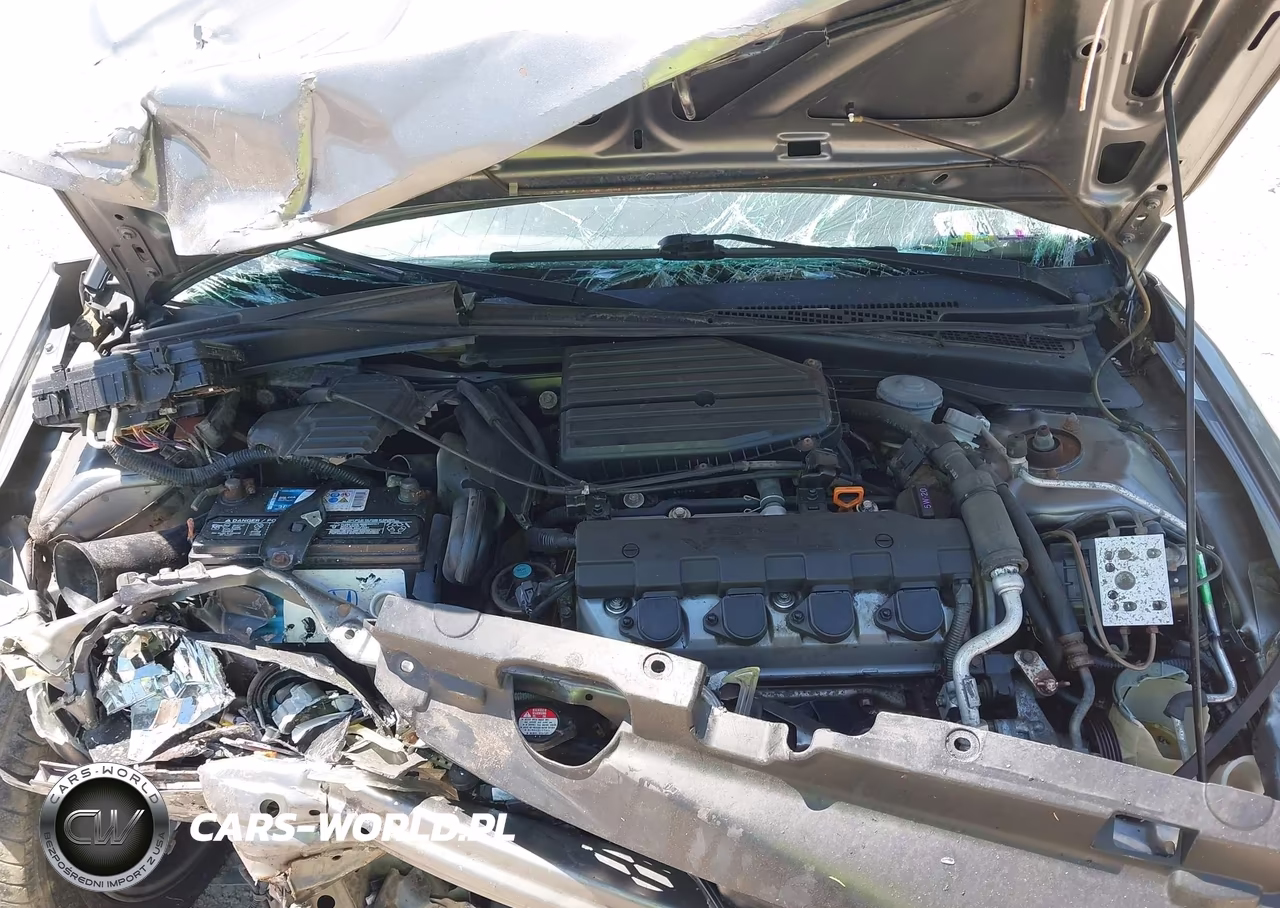 2004 Honda Civic Ex VIN:1HGEM21024L047606 - 10