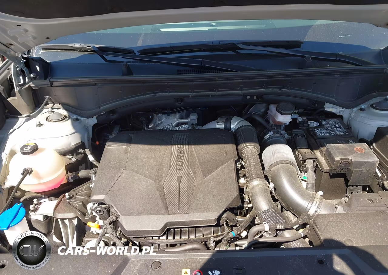 2024 Hyundai Santa Fe Sel VIN:5NMP2DGL2RH023132 - 10