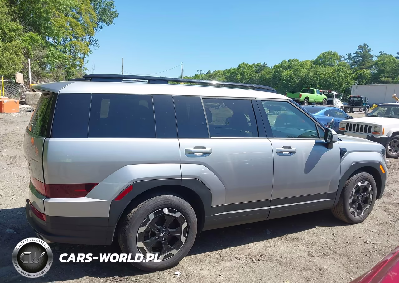 2024 Hyundai Santa Fe Sel VIN:5NMP2DGL2RH023132 - 13