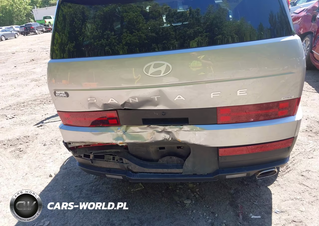 2024 Hyundai Santa Fe Sel VIN:5NMP2DGL2RH023132 - 6