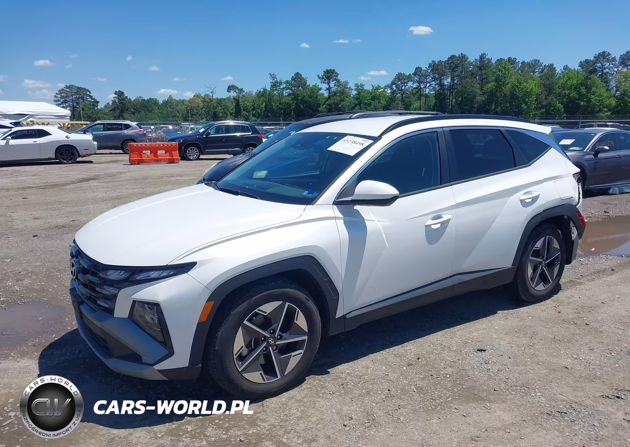 2025 Hyundai Tucson Sel VIN:3KMJB3DE9SE014251 - 2