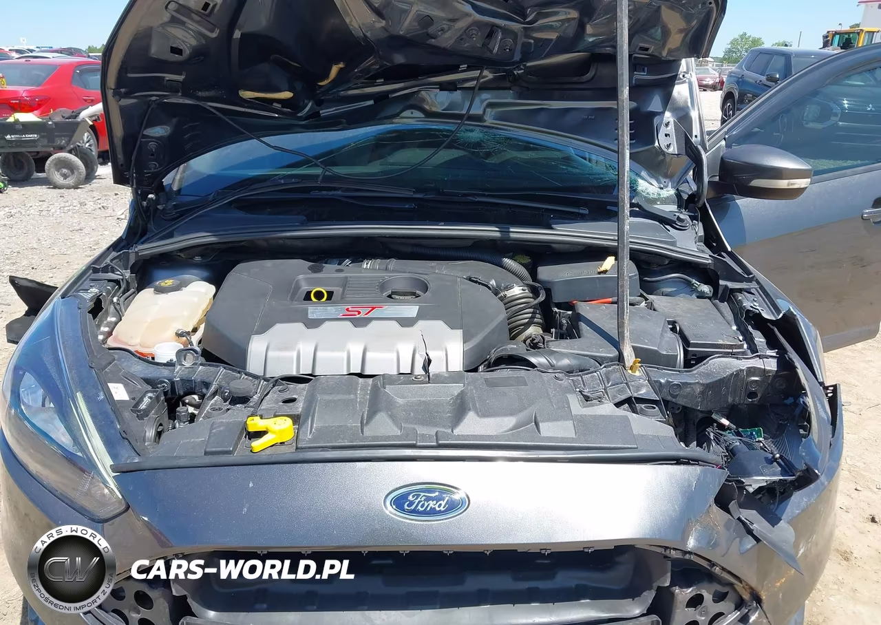 2018 Ford Focus St VIN:1FADP3L90JL267718 - 10