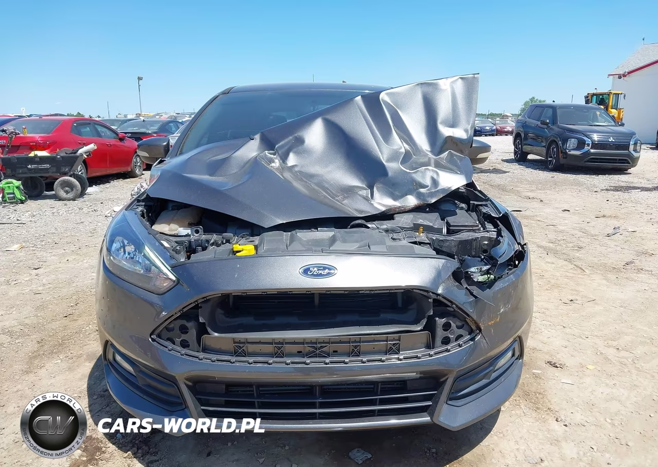 2018 Ford Focus St VIN:1FADP3L90JL267718 - 12