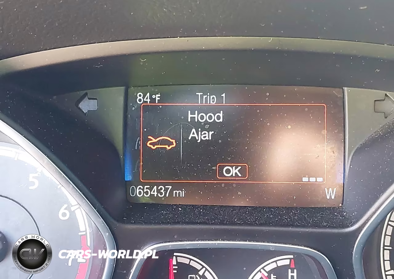 2018 Ford Focus St VIN:1FADP3L90JL267718 - 15