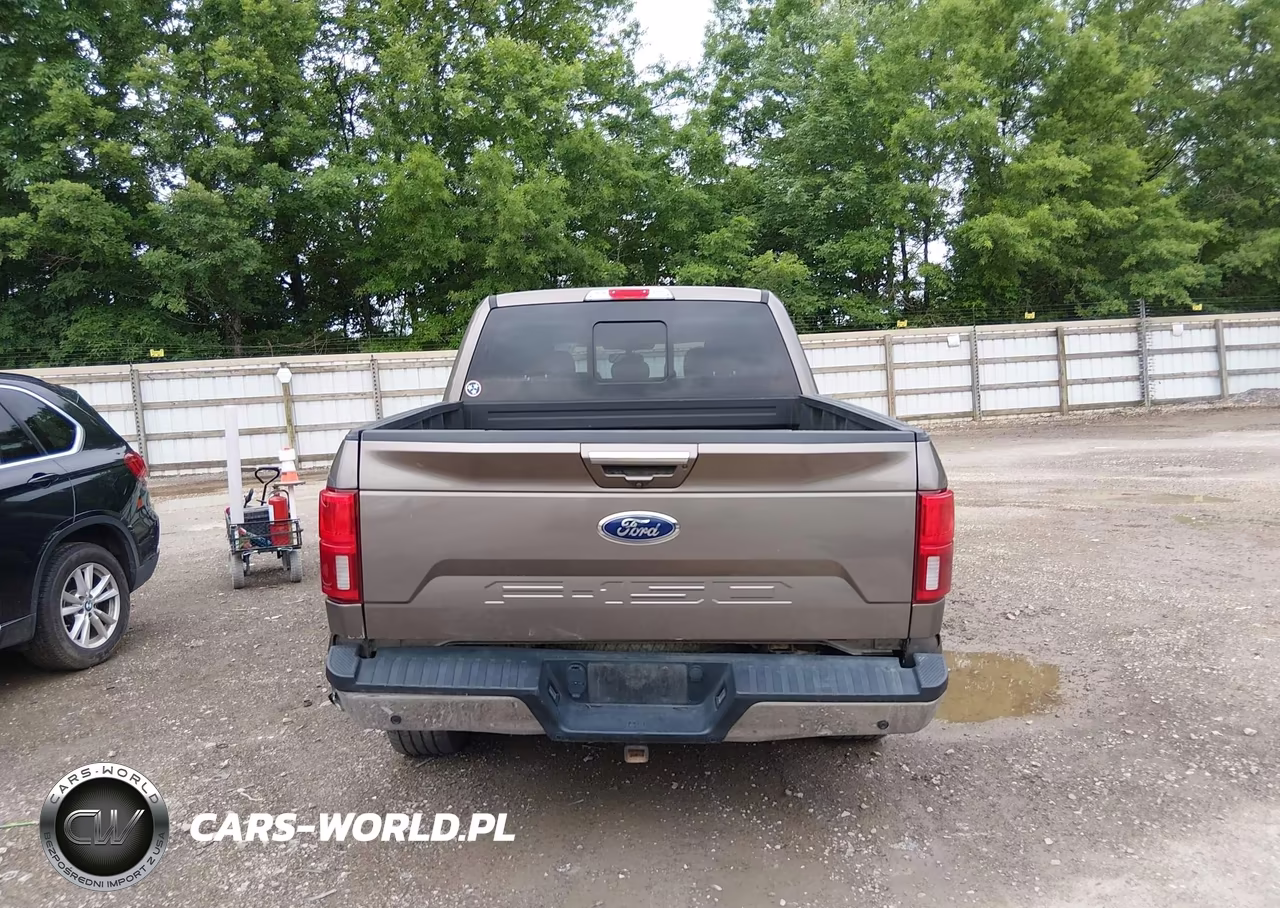 2019 Ford F-150 Lariat VIN:1FTEW1E53KFB73073 - 16