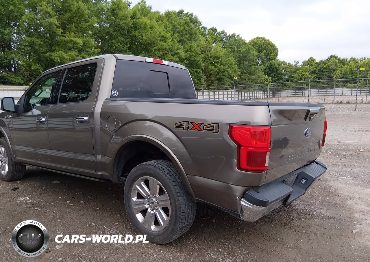 2019 Ford F-150 Lariat VIN:1FTEW1E53KFB73073 - 18