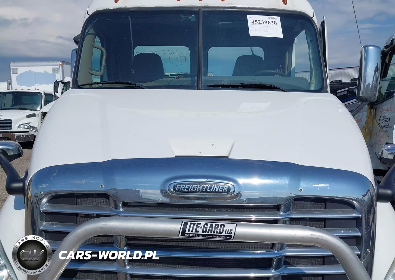 2013 Freightliner Cascadia 113 VIN:1FUJGBDV0DLBW3989 - 9