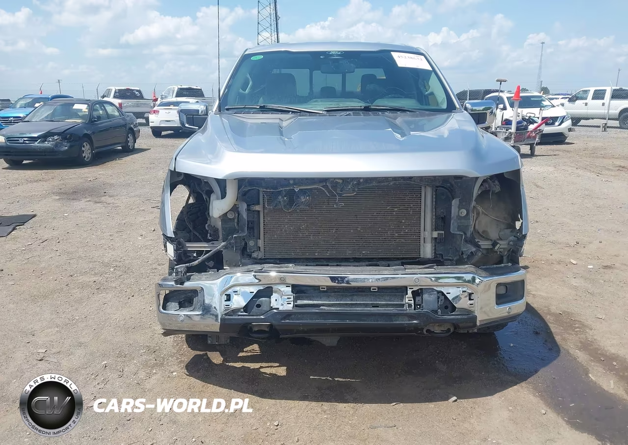 2024 Ford F-150 Xlt VIN:1FTFW3L56RFB23572 - 13