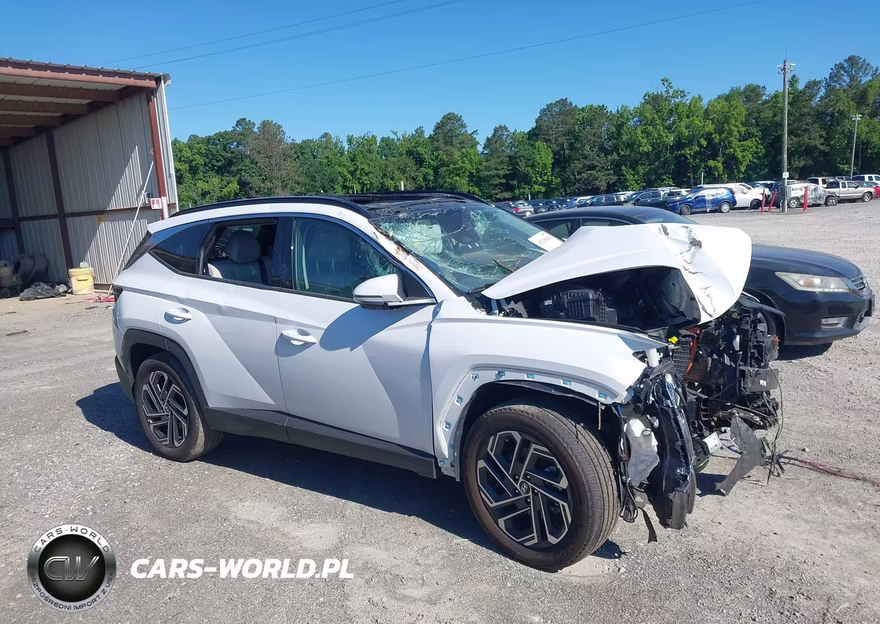 2025 Hyundai Tucson Hybrid Limited VIN:KM8JEDD14SU286779 - 13