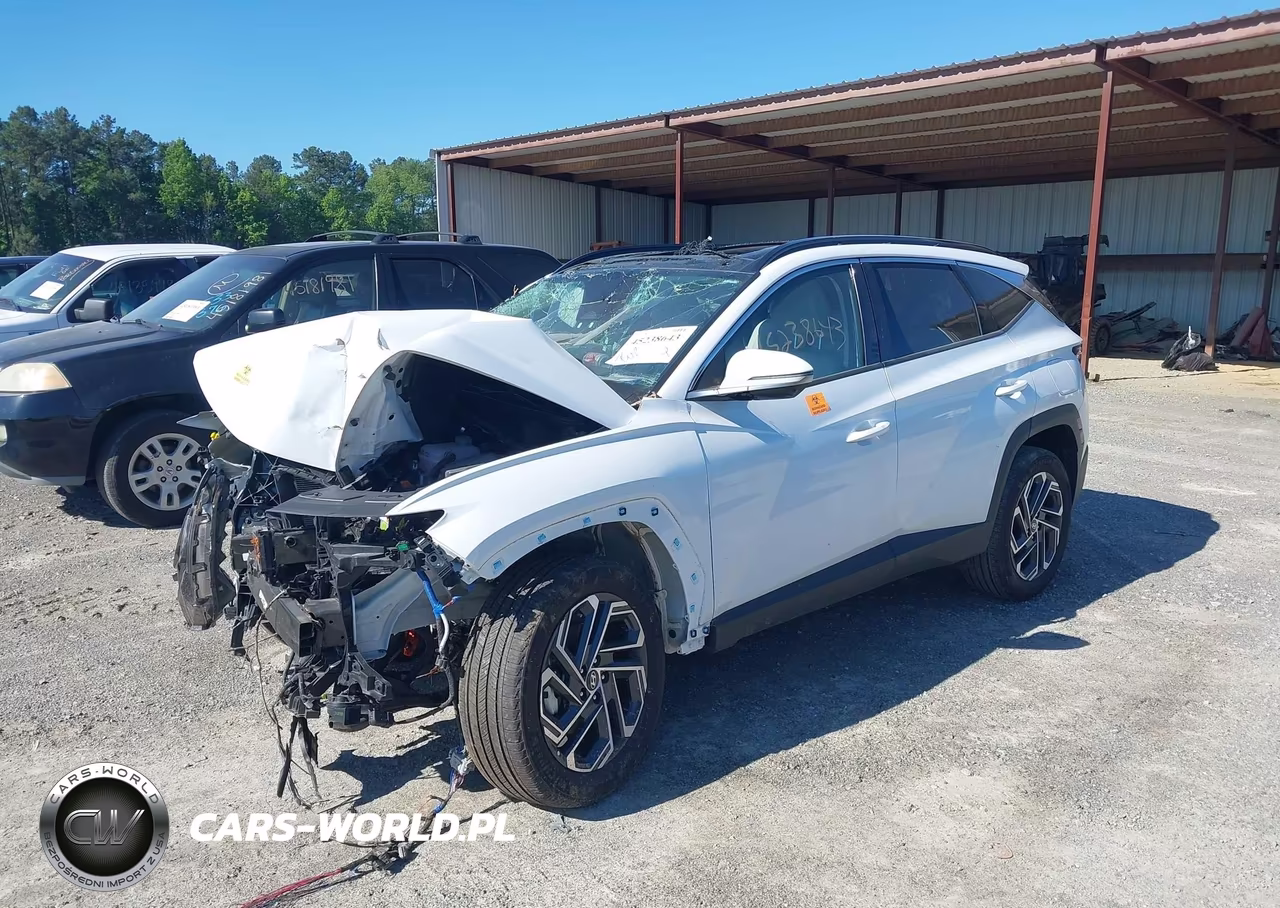 2025 Hyundai Tucson Hybrid Limited VIN:KM8JEDD14SU286779 - 2