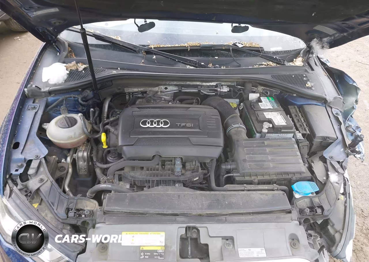 2016 Audi A3 2.0T Premium VIN:WAUB8GFF8G1012503 - 10