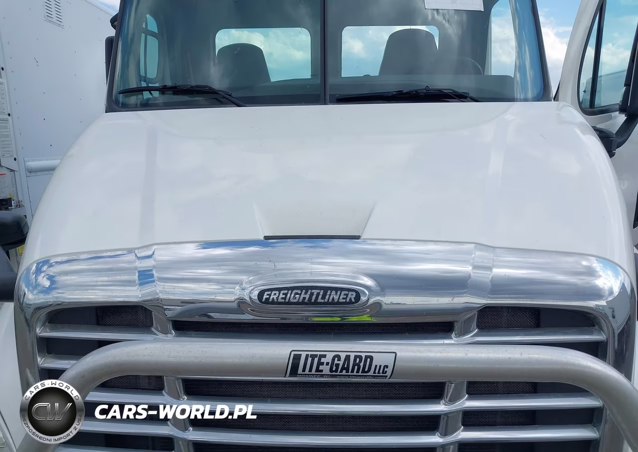 2015 Freightliner Cascadia 113 VIN:1FUJGBDV5FLBW4381 - 9