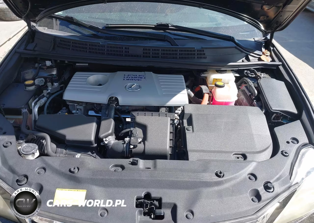 2013 Lexus Ct 200H VIN:JTHKD5BHXD2126341 - 10