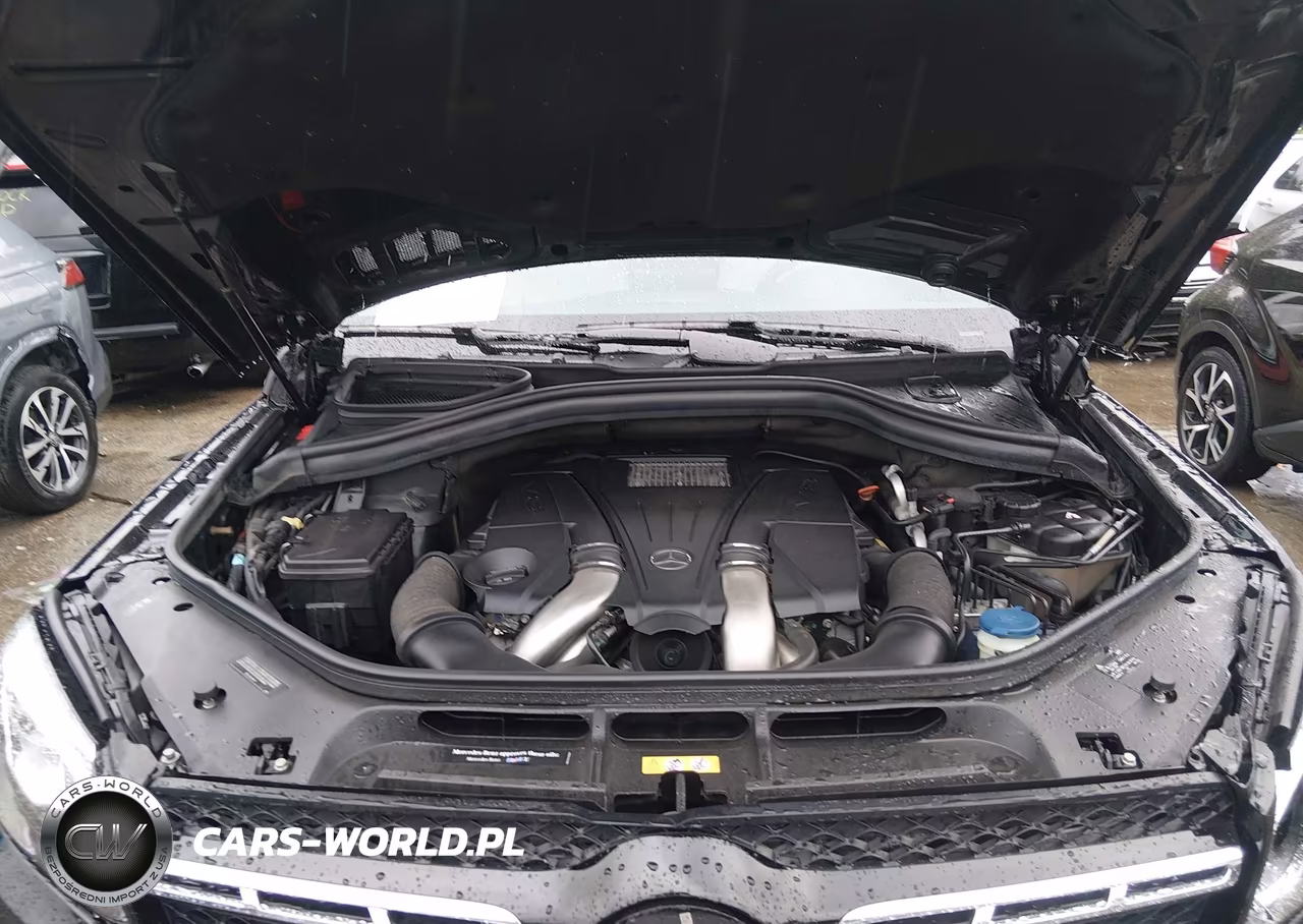 2017 Mercedes-Benz Gls 550 4Matic VIN:4JGDF7DE3HA876769 - 10